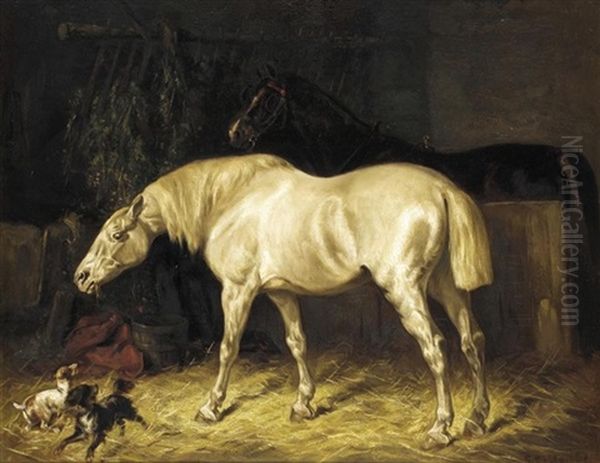 Playtime In The Stable - view 1