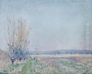 Bucks County Field