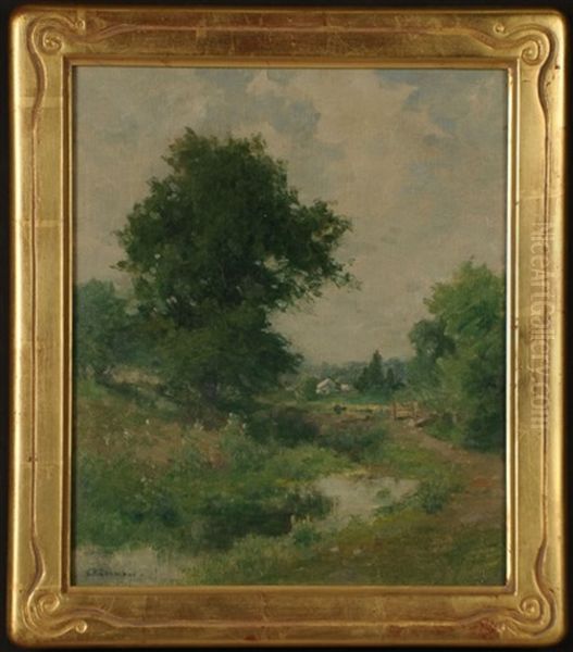 The Old Mill Race - view 1