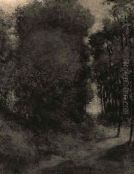 Path Through A Spring Forest - view 1