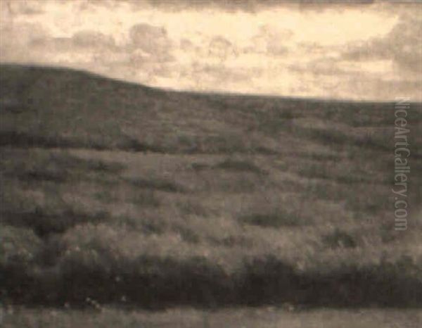 Trigales De Castilla - view 1