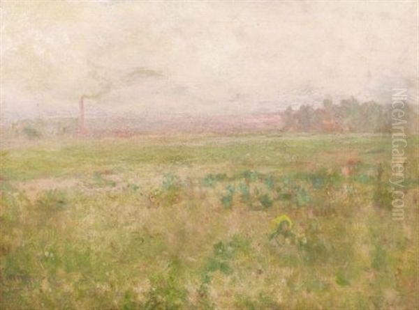 In The Open Fields - view 1