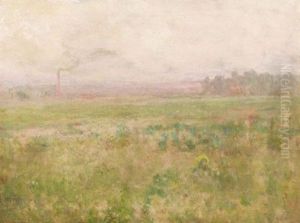 In The Open Fields In The Open Fields