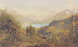 Alpine View