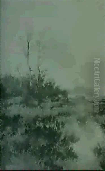 Aulandschaft - view 1