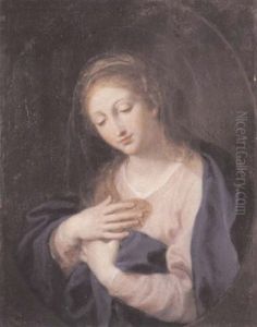 The Madonna The Madonna