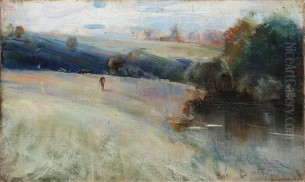 Australian Landscape - view 1