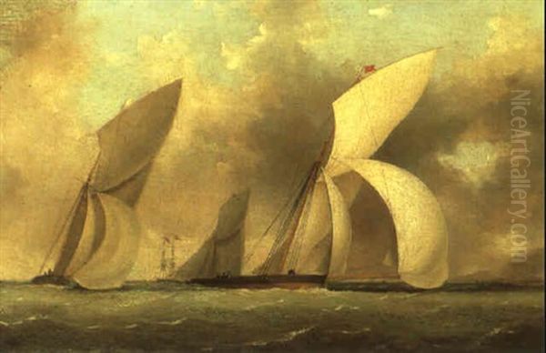Yacht Race - view 1