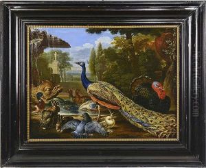Birds In A Park