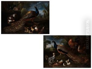 Grossformatige Darstellungen Von Pfauen, Umgeben Von Weiterem Federvieh