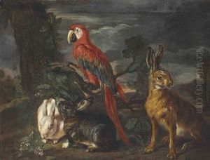 Rabbits, A Hare, And A Scarlet Macaw by David de Coninck