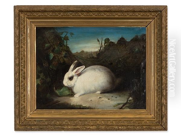 White Rabbit - view 1
