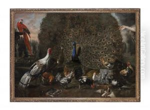 Paons, Ara Sur La Vasque D'une Fontaine Et Oiseaux De Basse-cour Dans Le Jardin D'un Palais Romain Avec Statues A L'antique Dont La Flore Farnese by David de Coninck