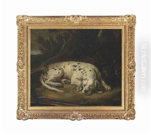 A Spotted Hound Resting By A Tree In A Wooded Landscape by David de Coninck