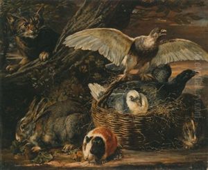 Kaninchen Und Ein Meerschweinchen Neben Einem Korb Mit Vogeln Und Einem Falken, Von Einer Katze Belauert