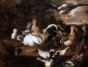 Gallos Y Patos Gallos Y Patos