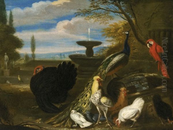 Ein Truthahn, Pfau, Papagei Sowie Huhner Und Tauben In Einem Schlosspark - view 1