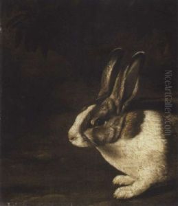 A Rabbit In A Rocky Undergrowth by David de Coninck