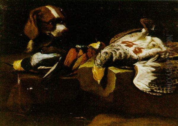 Nature Morte - view 1