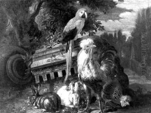Perroquet, Coq , Lapins Et Elements D'architecture Dans Un Paysage