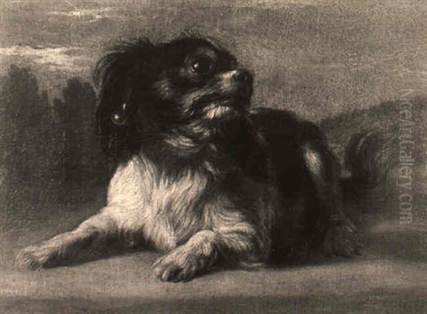 Cagnolino Con Orecchino - view 1