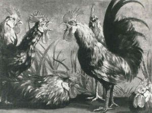 Cockerells Crowing by David de Coninck