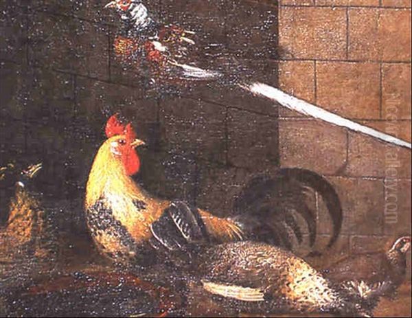 Coq, Poules Et Pigeons Dans Un Poulailler - view 1