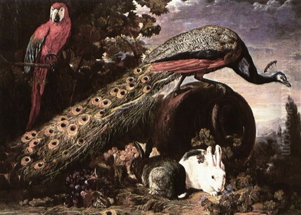 A Peacock A Parrot And Two Rabbits In An Extensive Landscape - view 1