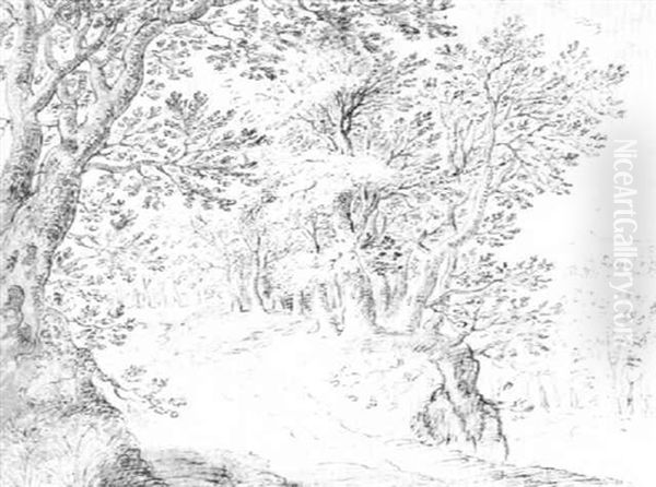 The Margin Of A Forest - view 1