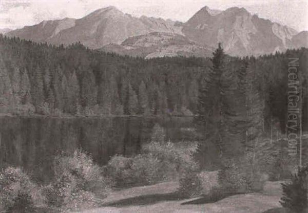 Bergsee Mit Alpenpanorama - view 1