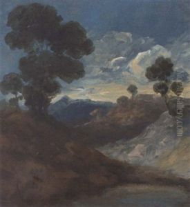 Trees In An Extensive Landscape Trees In An Extensive Landscape