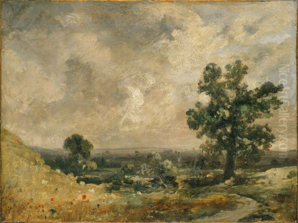 English Landscape - view 1