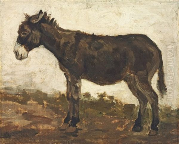 Donkey (study) - view 1