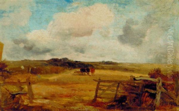 Cattle In An Extensive Landscape - view 1