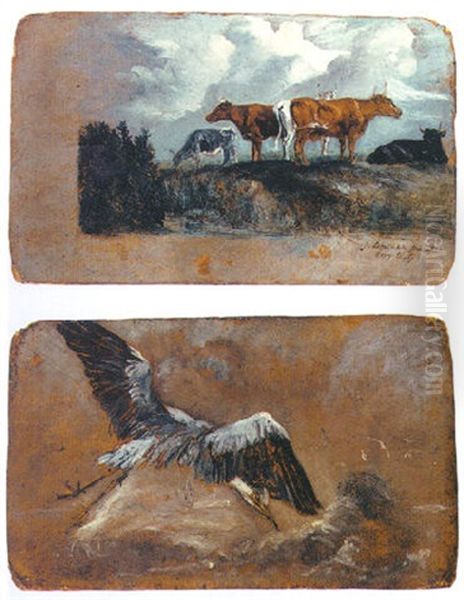 Cattle On A Bank - view 1