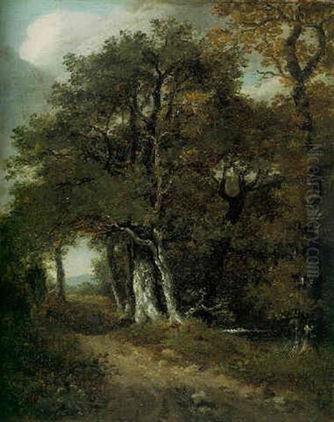 A Woodland Scene - view 1