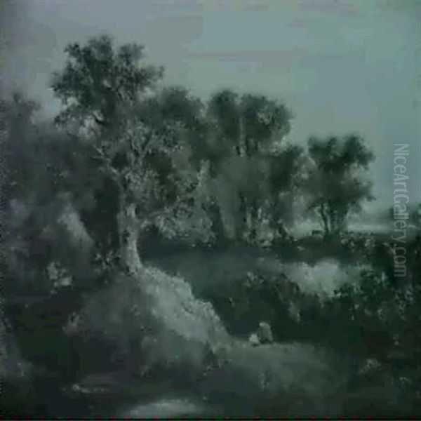 Bewaldete Landschaft - view 1
