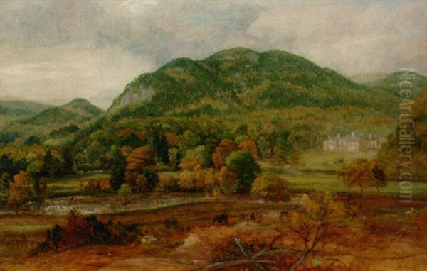 Loughrigg Fell, Cumbria - view 1