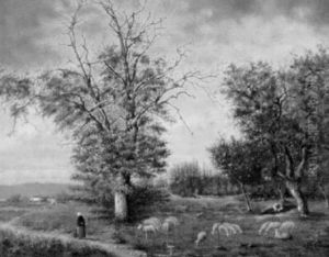 Landschaft Mit Weidender Schafherde Bei Dammerung Landschaft Mit Weidender Schafherde Bei Dammerung