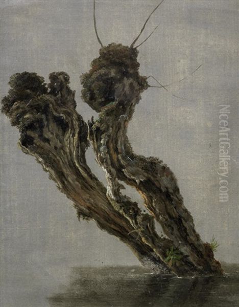Study Of A Pollarded Tree Stump Standing In Water - view 1