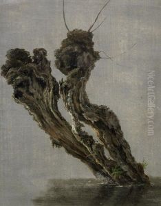 Study Of A Pollarded Tree Stump Standing In Water