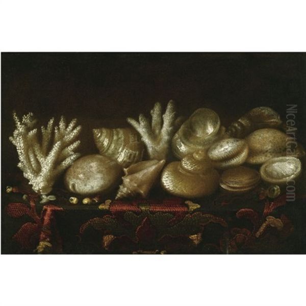 Still Life Of Assorted Shells And Coral Upon A Table Draped With A Carpet - view 1