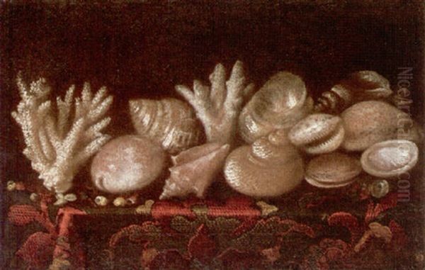 Still Life Of Assorted Shells And Coral Upon A Table Draped With A Carpet - view 1