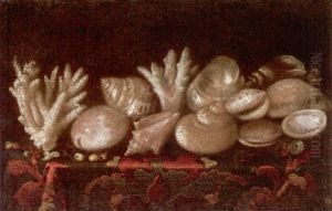 Still Life Of Assorted Shells And Coral Upon A Table Draped With A Carpet by Meiffren Conte