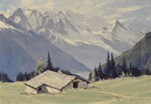 Matin Dans La Vallee De Chamonix