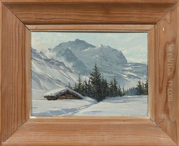 Neige A Wengen - view 1