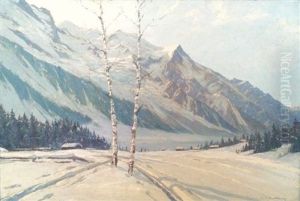 Neige Dans La Vallee De Chamonix