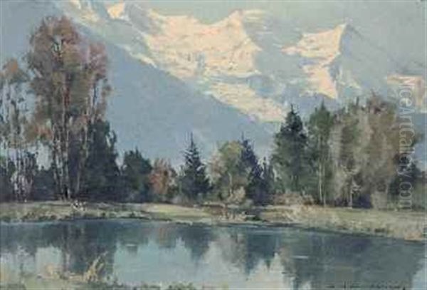 Mont Blanc Lac Des Bois - view 1