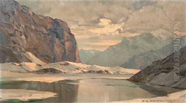 Bord De Lac Dans Les Alpes Bernoises - view 1