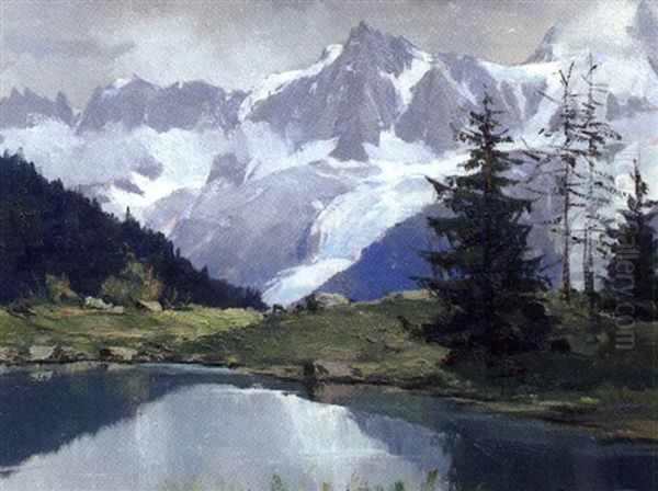 Petit Lac De Plan L'a..., Aiguille Du Midi - view 1